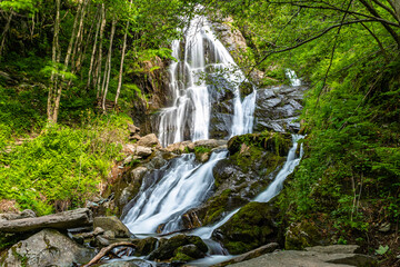 Le suggestive cascate del Saut, ammirabili in Valle Pesio (provincia di Cuneo), all'interno del...