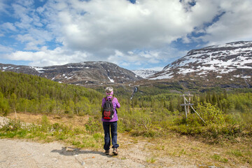 On a walk in Velfjord wilderness with large waterfalls,Northern Norway