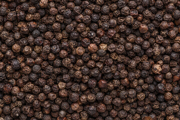 Peppercorn background. Dry black pepper seeds. Top view. Flat design. Macro spice background