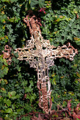 Fusty wrought iron crucifix against an ivy-covered wall