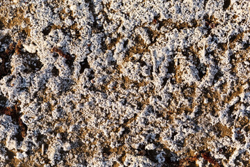 Salt flat. The soil is rich in salts.Texture of a dried-up lake.