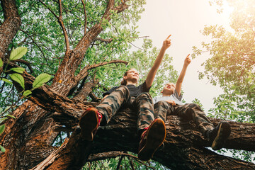 Older sister and younger brother sit together on tree in forest and point their hands against background of green trees and nature. Childhood and friendship. Two children climb on branch. Low angle