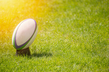 White Rugby ball over the grass in the stadium. Team sport concept - obrazy, fototapety, plakaty