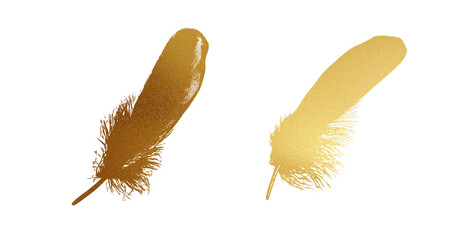 Gold Feathers Graphic Vector Illustration Set Isolated on White Background