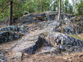 Fototapeta na wymiar granite ledges of the Baltic shield. granite outcrops