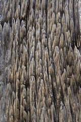 Ein alter Haolzbalken