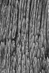 ein alter Holzbalken