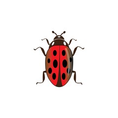 beetle icon logo vector