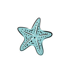 Set collection of hand painted drawn watercolor cliparts of starfish. Vector art illustration.