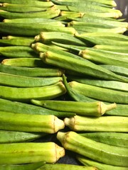 fresh green lady’s finger or okra