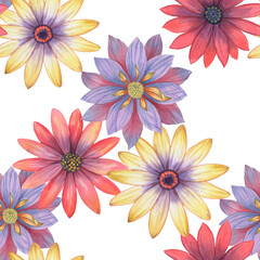 Fototapeta na wymiar Hand painted bright flowers. Seamless botanical pattern on a white background. For printing and packaging. Watercolor flowers isolated on white.