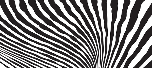 Wild Zebra Wave Pattern with black and white. Trendy Stylish Abstract Background..