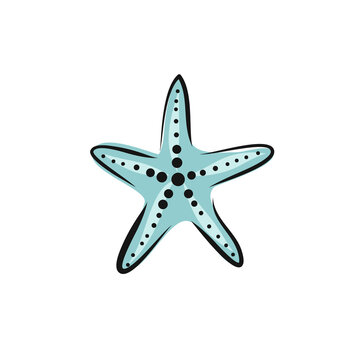 Set collection of hand painted drawn watercolor cliparts of starfish. Vector art illustration.