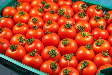 Vegetables background: fresh red tomatoes. Closeup