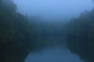 Fototapeta premium 新緑の錦秋湖