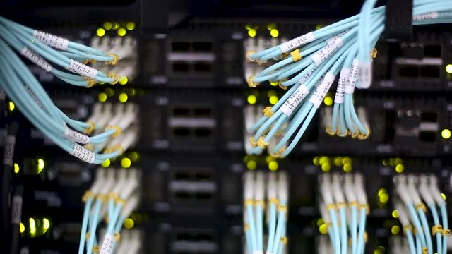 Fiber optic blue cable connect to ethernet switch mount on rack.