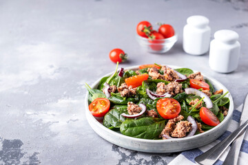 Tuna salad with tomatoes, red onion and spinach on a plate. Copy space