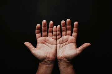 photo of persons open hands