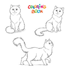 Coloring book or page. Illustration with a Three Cute Fluffy Cats.