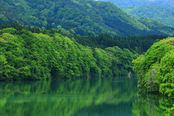 新緑の錦秋湖