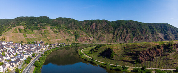 Obraz premium With the bike on the cycle path through the countryside along the river Moselle in Rhineland-Palatinate from Trier to Koblenz in summer