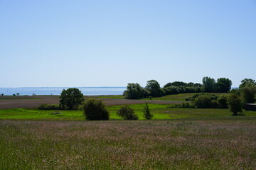 Felder an der Ostsee mit Blick auf das Meer (Lübecker Bucht)