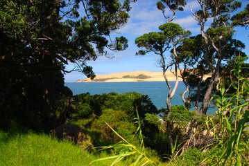 south coast on New Zealand north island near Wellington