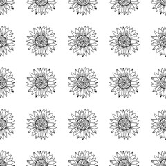 Black and white seamless pattern witn sunflowers. Floral doodle background. Hand drawing flowers vector illustrarion.