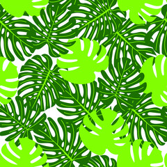 Seamless pattern. Large green leaves of a monstera or palm tree. Tropical story. Vector drawing.