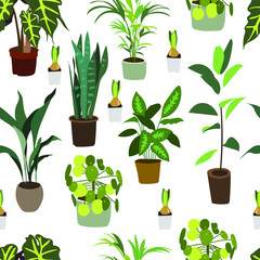Seamless pattern with the image of indoor ornamental plants on a white background. A variety of homemade flowers. The concept of home gardening, plant care. Vector drawing.