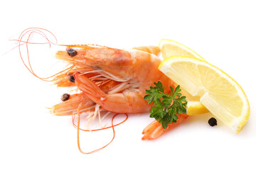 Fresh shrimps on white background