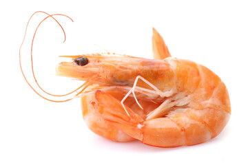 Fresh shrimps on white background