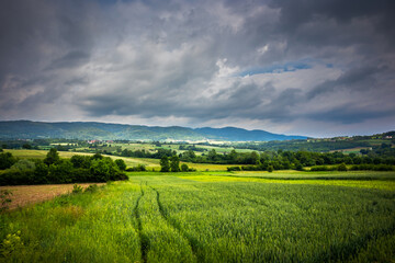 Agriculture field at sunset and dark clouds in spring