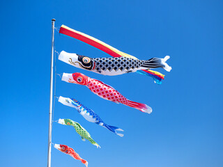 初夏の青空にはためくコイノボリ
