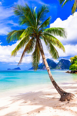Wonderful idyllic nature scenery - tropical beach with cocnut palm trees. El Nido. Palawan island , Philippines