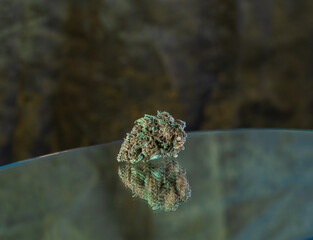cogollo de marihuana, cannabis,cañamo, brote, cogollo CBD THC