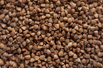 Close up texture of organic buckwheat groats. An healthy bio ingredient