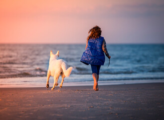 Dziewczyna i biały pies spacerują nad morzem - obrazy, fototapety, plakaty