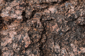 Brown rock background surface texture. Abstract macro background stone