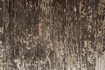 Grunge Wood panel old door brown aged copy space for text background texture
