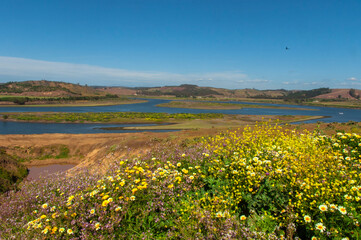 Desenbocadura Rio Rapel Navidad la boca sexta region Chile rio Flors naturaleza paisaje