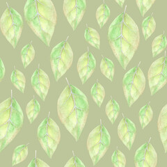 Pale green leaves on green-gray background: floral seamless pattern, tender hand drawn wallpaper design, textile print.