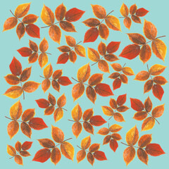 Red-yellow leaves on blue background: square watercolor illustration, autumn hand drawn background.