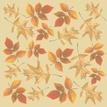 Orange-red autumn leaves on beige background: square watercolor illustration, hand drawn background.