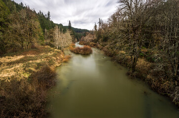 Fototapeta na wymiar Beautiful landscape of water creek and forest in an overcast day