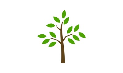 Tree with green leaf illustration icon vector