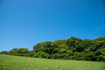 空