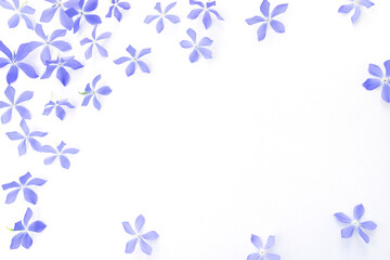 Fototapeta na wymiar Festive frame of tiny blue flowers on a white background.Copy space for text.Floral background for greeting cards