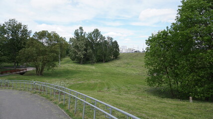 A green city park next to the road. Moscow, trees, track.