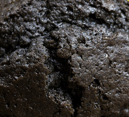 unusual black cupcake